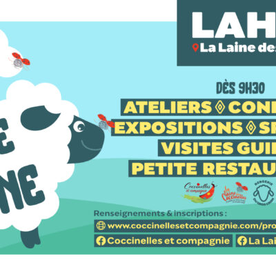 Fête de la laine les 7 et 8 octobre à Lahage (Gaume)