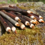 Crayon à plusieurs couleurs en bois de saule